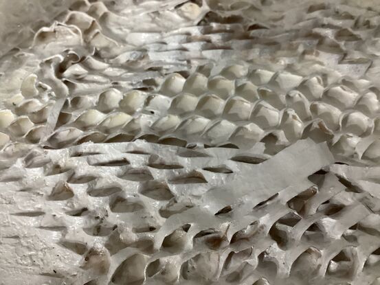 Hornets Nest