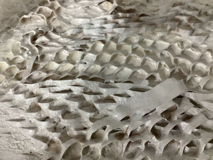 Hornets Nest